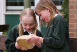 Children examining rock