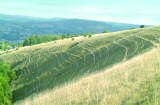 Selsley Common near Stroud is a key geological site