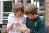 kids examining rock